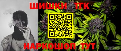 винт Сланцы