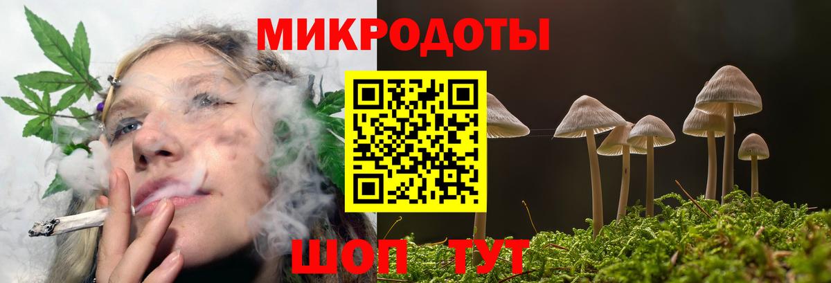 Солнечногорск  Галлюциногенные грибы ЛСД  Вход с VPN 