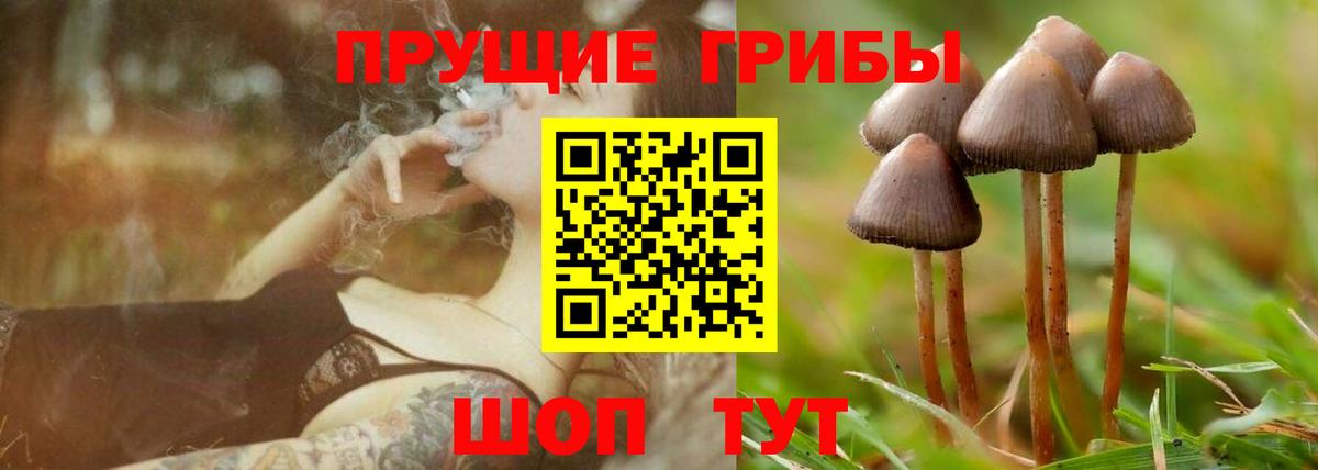 Псилоцибиновые грибы Magic Shrooms Солнечногорск